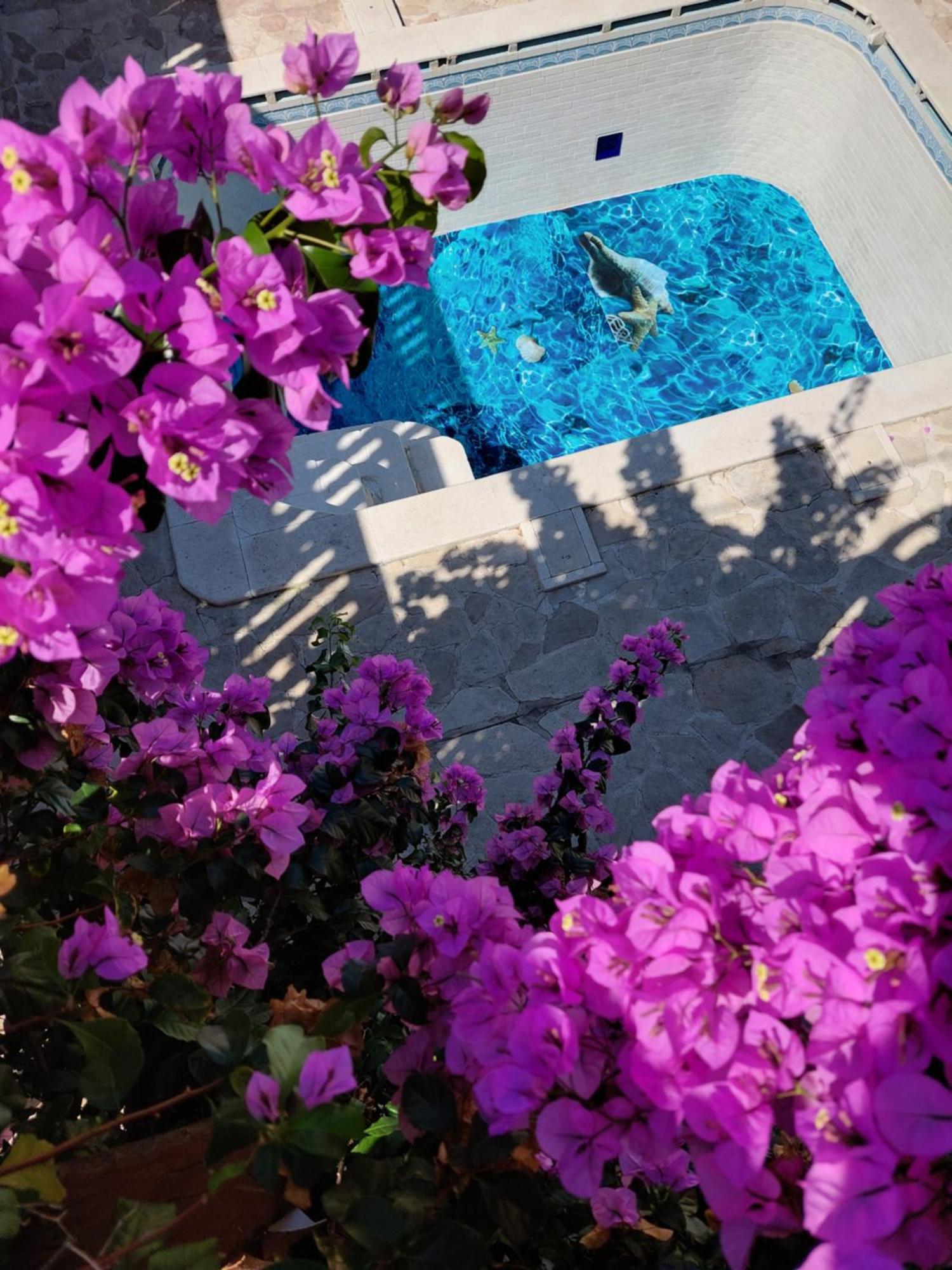 Studios Villa Romantica Zadar Eksteriør billede